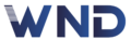 WND Business Setup logo